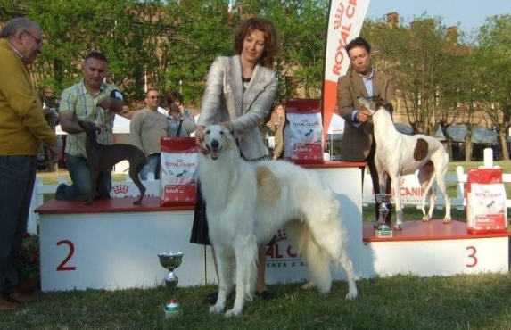 2009  CACIB, BOB, Group-1, BEST IN SHOW-3. EXPO INTERNAZIONALE - International All Breed Show