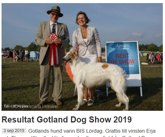 Akira won BEST IN SHOW at the National All Breeds show on Gotland 2019!