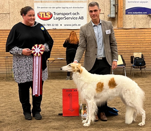 BEST IN SHOW, Swedish Sighthound Club Specialty in Timrå. Judge: Maija Lehtonen, Finland