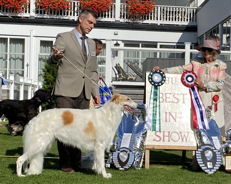 Norwegian National Borzoi Specialty 2019, Best of Opposite. Judge: Elia-Marie Klepp