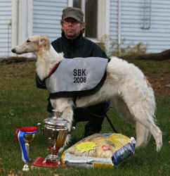 BEST IN FIELD, CACIL-winner, 2008. Photo: Ella Niinistö