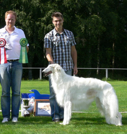 Cenni winning BOS at Borzoi-Ringen's Specialty in Björbo 2008, Judge Bjarte Lien, kennel Fjascho, Norway