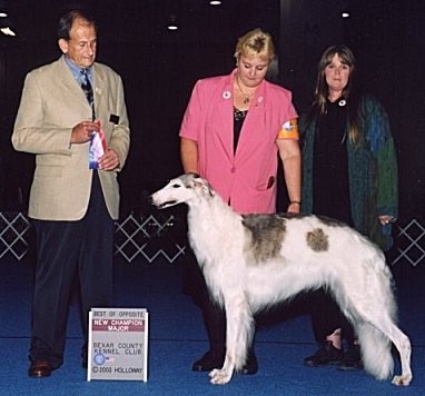 Monkee finished her AKC conformation championship in style, with a Best of Breed win over several specials at the San Antonio River Cluster in July 2003