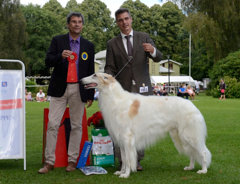 BEST IN GROUP, Swedish Kennel Club International All Breed Show in Ronneby 2017