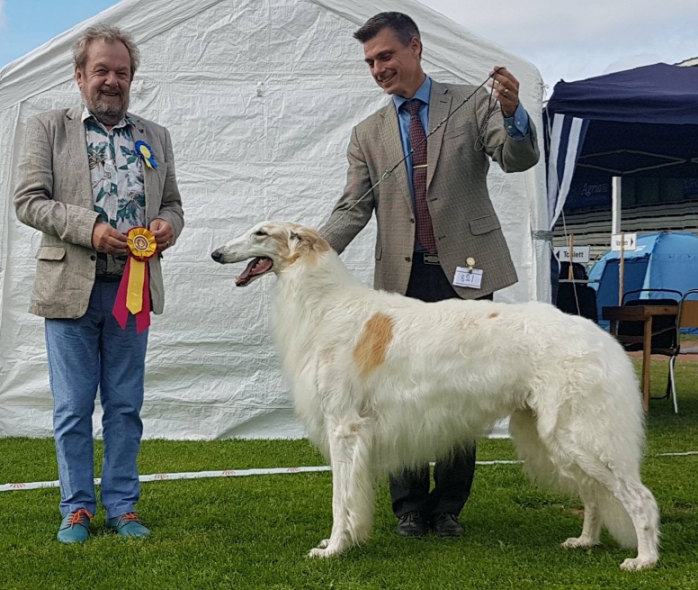 BEST IN GROUP, Swedish Kennel Club All Breed Show in Alfta 2017