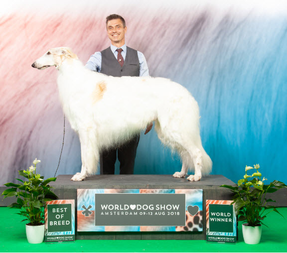 WORLD DOG SHOW 2018, BEST IN GROUP-2