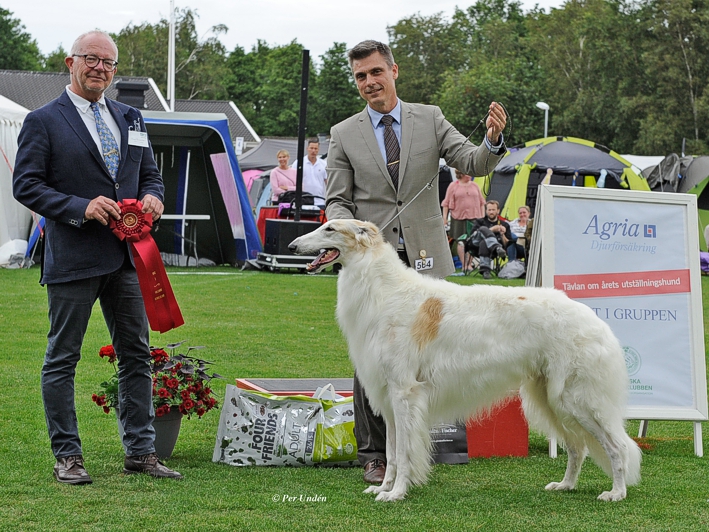 BEST IN GROUP, Swedish Kennel Club's International All Breed Show in Tvååker 2017