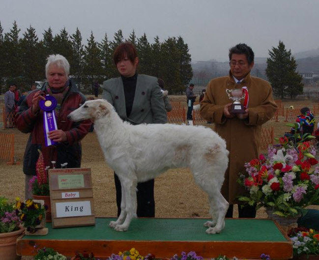 2012.4.7 Baby King. BIS Judge: Ms Jean Lanning (UK). G10 Judge: Ms Nina Karlsdotter (Sweden)