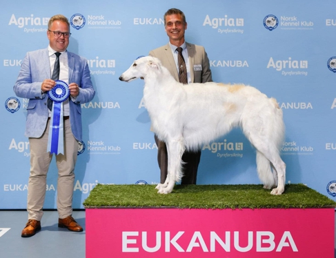 Norwegian Winner Show 2022, GROUP-2. Judge: Mikael Nilsson