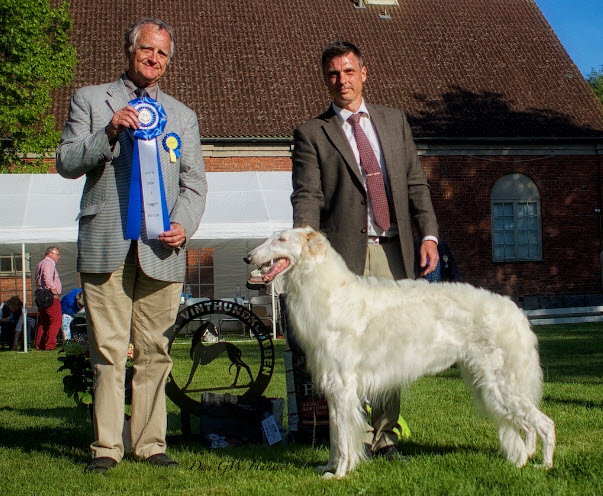 Best In Show-2, CLUB WINNER show 2014, judge: Trevor Hiscock, South Africa