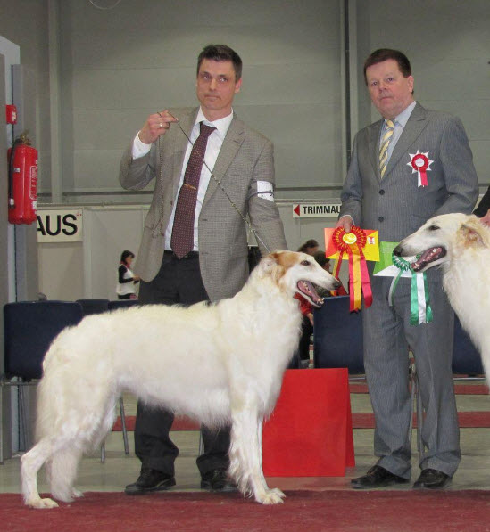 BOB, CAC & CACIB. Judge: Jarmo Vuorinen