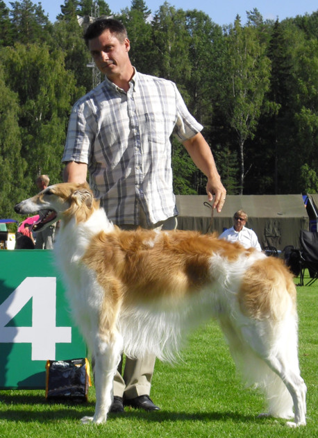 SKC Askersund July, 2009. BOB & CAC - judge Hans Almgren, Sweden. Pictured winning Group-4 under judge Dimitris Atonopoulos, Greece