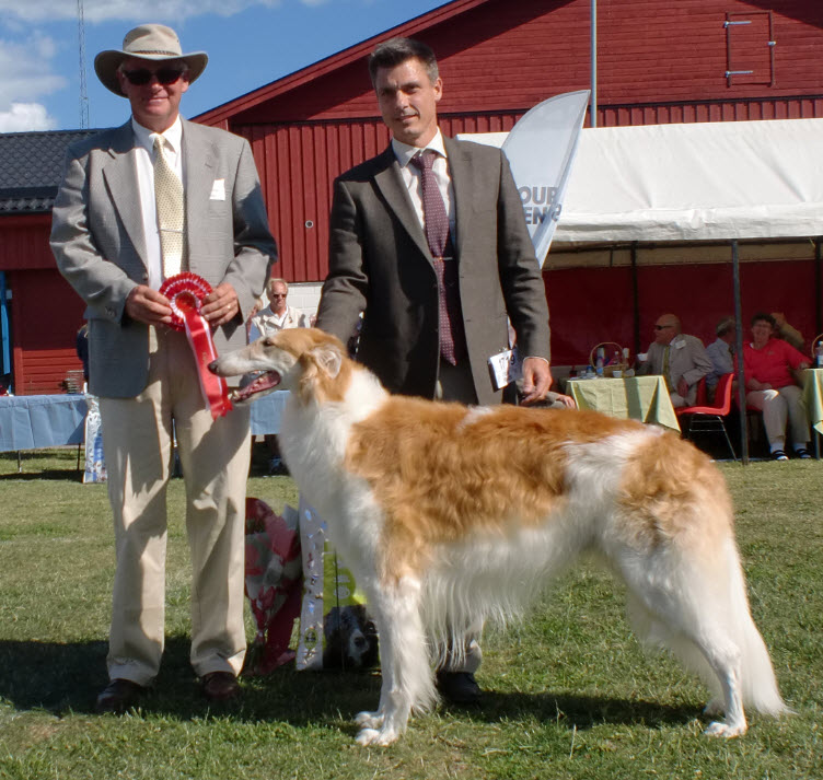 Best in Group SKC International All Breed Dog Show in Köping 2013