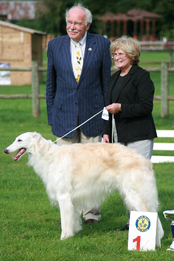 Sighthound Specialty, judge: Tim Finney, Ireland. CAC & BOB