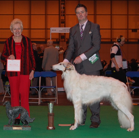 Best of Opposite at Crufts 2011. Judge: Jean Clare, Ryazan Borzoi- UK