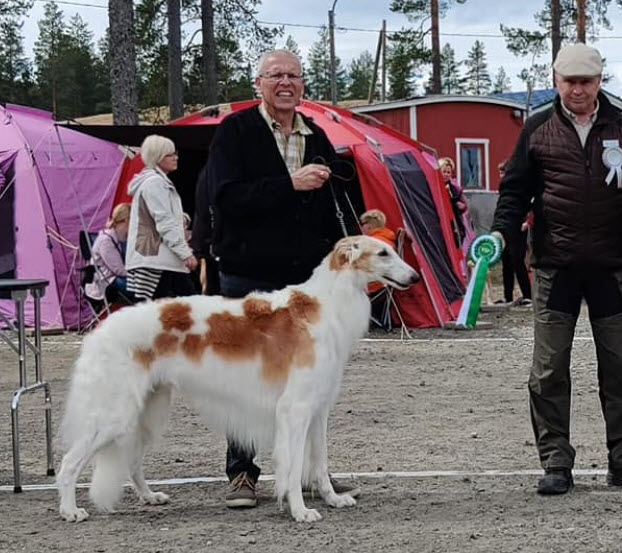 Figge winning BOS, CAC at the Finnish Kennel Club All Breeds show in Kontiolahti May 2022