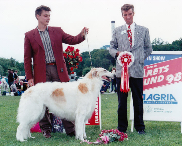 Top Borzoi in Sweden 1998