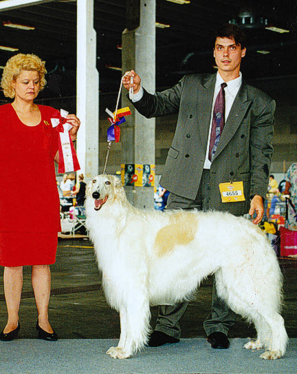 BOB winner at European Winner Dog show in Denmark 1997