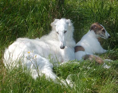 Delfi and her little sister Rainmaker Julia