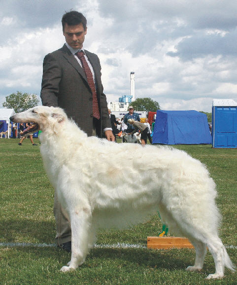 Jeger (7.5 yrs) and Rickard 2008, photo by Evelyn Kirsch