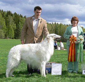 BIS at Borzoi-Ringens Specialty in Pilsbo 2006