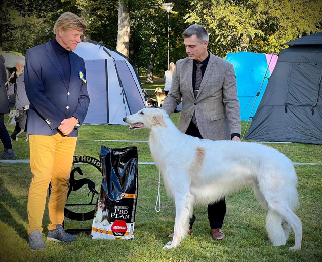 BEST IN SHOW, Swedish Sighound Club Specialty. BIS judge: Wim Wiersma