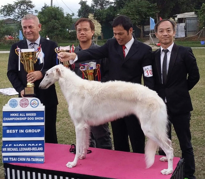 HKKC All Breed Show, BEST IN GROUP