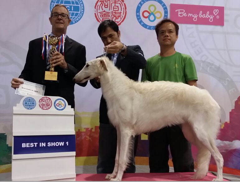 BEST IN SHOW PUPPY! June, 2015