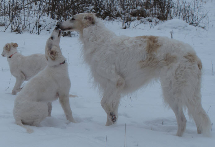 Malte getting a kiss from his halfbrother Truls