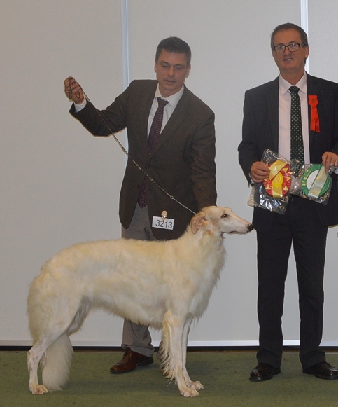 BOB at the Nordic Winner show in Norway 2014 and BOB at the Norwegian Winner show 2014