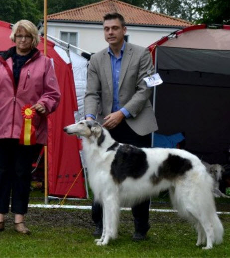 Winning BOB & CACIB at SKC International dogshow Högbo Bruk Sept. 1st, 2012. Judge Jelena Kruus