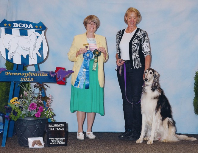 Melissa winning the Rally Novice class with a score of 98 at the Borzoi Club of America's National Specialty 2013