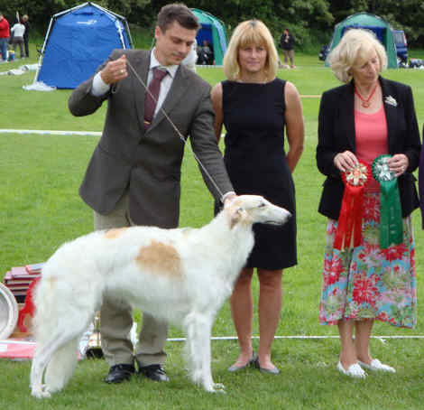 Swedish National Specialty 2009, BEST IN SHOW. Judge: Anne Thornwell, UK.