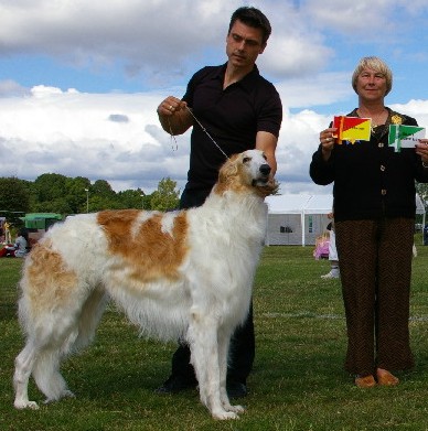 Osho winning BOB over +90 borzoi at the Skokloster Summer Show 2008. Judge Shen Smith, kennel Bokhara, USA