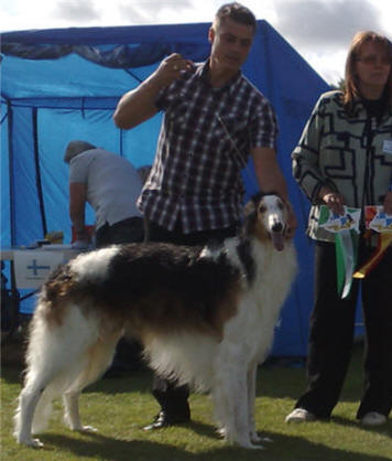 BOS CAC Swedish Kennel Club show Vallentuna 2009