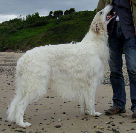 Day at the beach, 2008