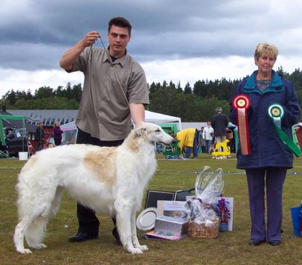 Sonja BEST IN SHOW at the Borzoi Specialty in Tånga Hed. Judge: Christine Spencer, Strelko Borzois, UK