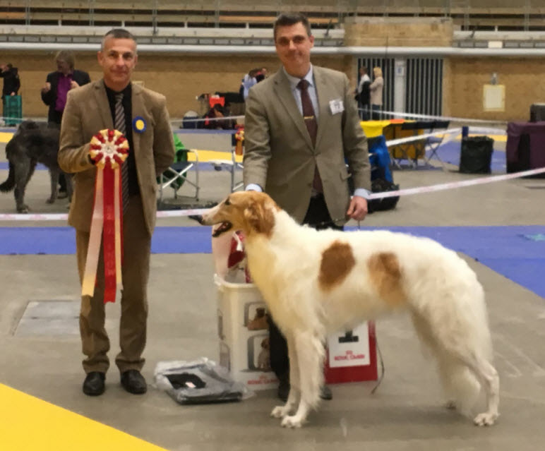 BEST IN SHOW! Judge: Chrisophe Coppel, France.