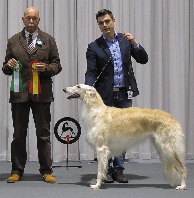 Best of Breed. Judge: Andre Van Den Broek