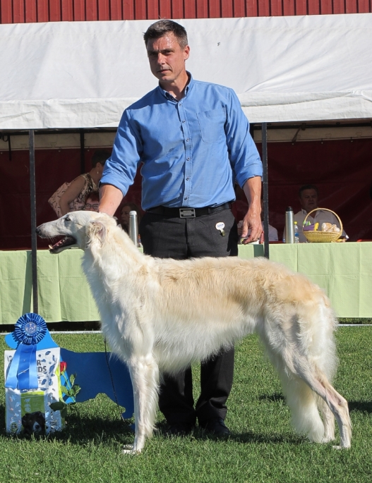 BIG-2 at the Swedish Kennel Club's International All Breed Show in Köping