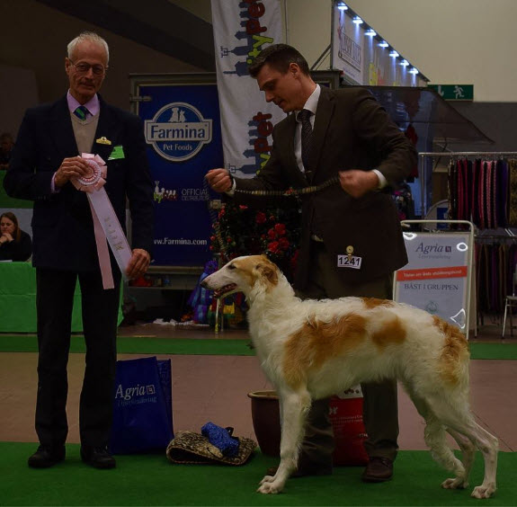 BEST IN SHOW PUPPY at the International All Breed Show in Strängnäs 2017 at her first show! Judges: Hans Almgren/ Thorbjörn Skaar