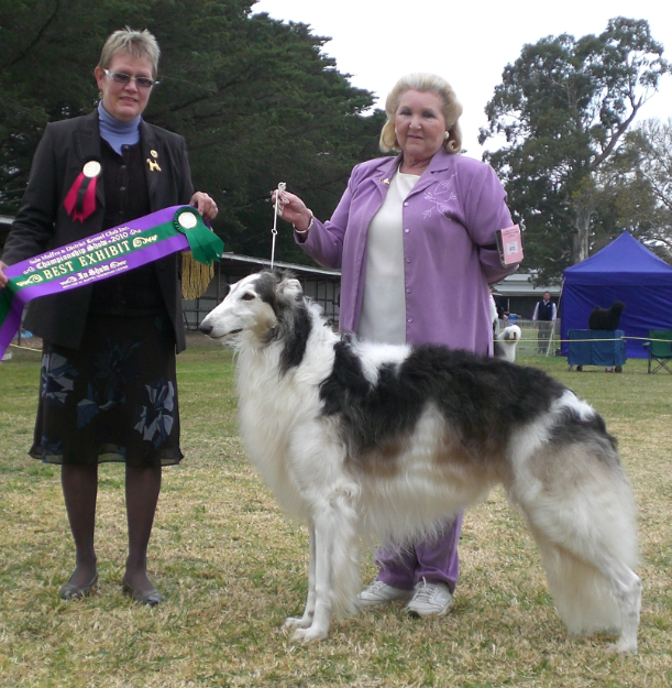 Thule pictured winning Best In Show under Mrs P Heikkinen-Lehkonen