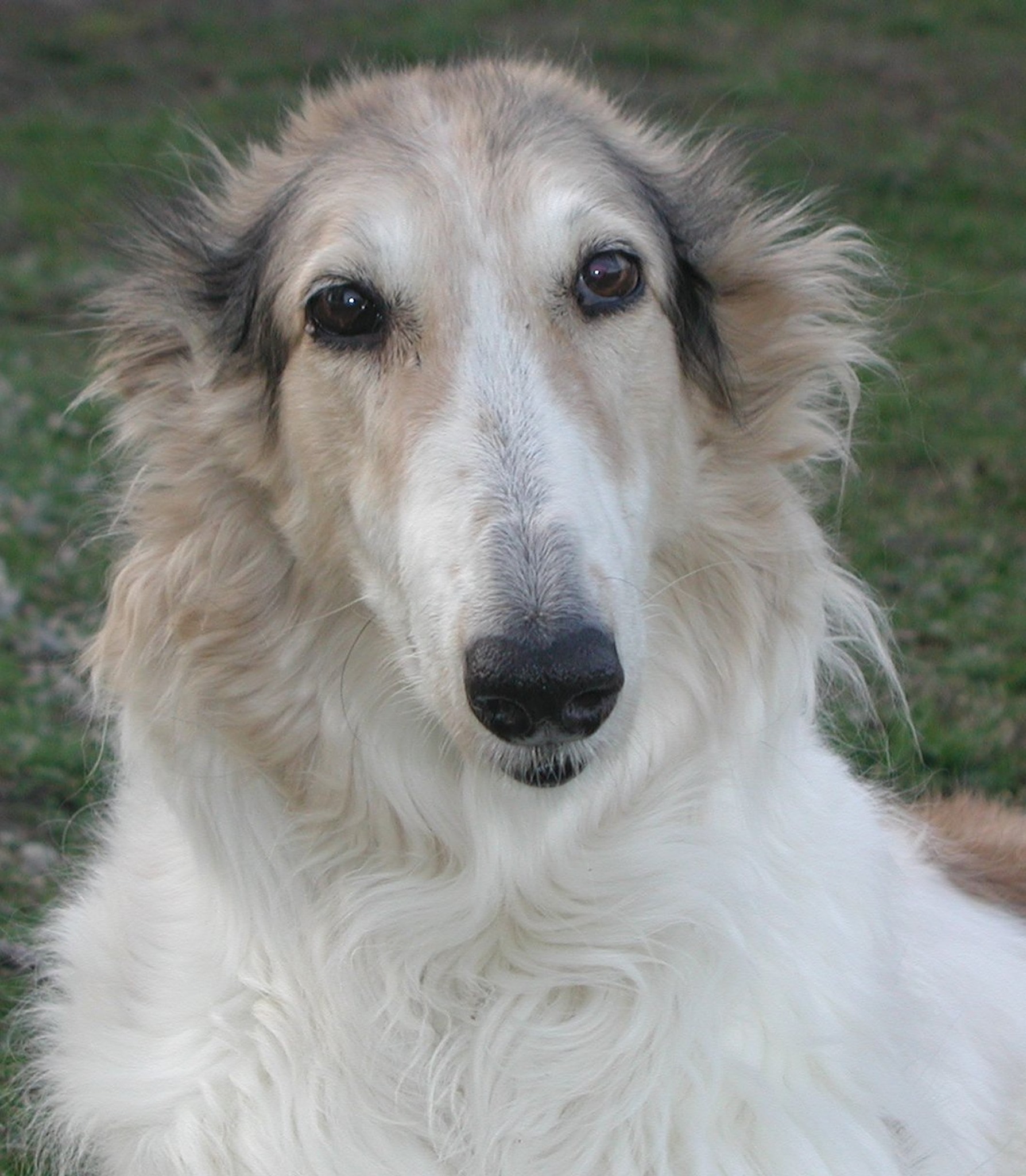 Front headshot of Yablonaja Valentina