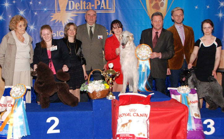 2013-04-07 Moscow (Russia) – National all breed show. JBOB, BOB, Group-1 & Best in Show!