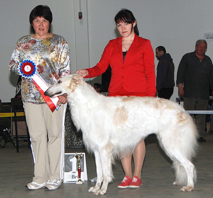 2013/14/04 Moscow (Russia) – National all breed show. CAC, BOB, BIG-1 BIS-4 & Best of Pride Russia (Best Russian breed)