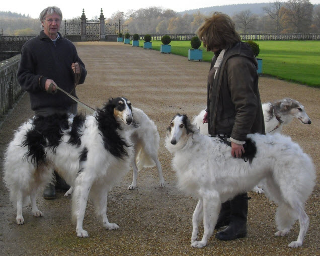 I took this picture when I visited Dave and Linda in France, November 2009. pictured are Dave, Misha, Minta and Linda. In the background you'll find Izzy's rear end... and Kala's pretty face.