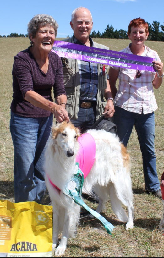 February 2013, Wicca's daughter becoming the first DC borzoi in NZ