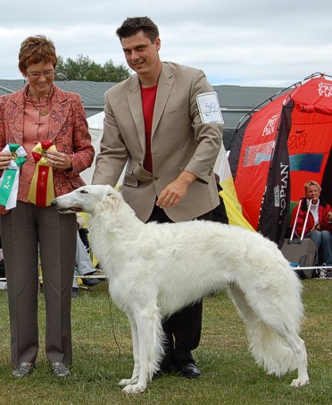 Xid winning BOB for Ros Bacich, Australia at the Sighthound Specialty in Tånga Hed, June 16th 2007